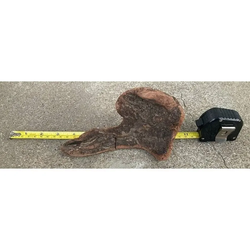 Ohio River Driftwood 7